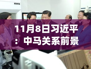 11月8日习近平：中马关系前景光明 未来可期，11月8日习近平主席谈中马关系，未来光明，前景可期