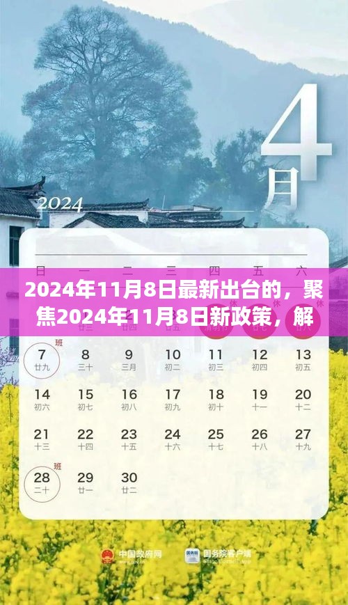 聚焦新政策，解读三项要点出炉，洞悉未来趋势——2024年11月8日最新政策解读标题