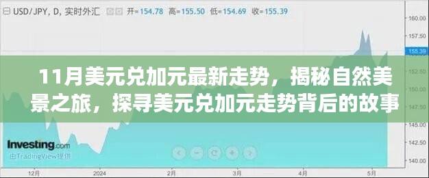 揭秘美元兑加元走势背后的故事，自然美景之旅启程，探寻内心的宁静与平和之旅