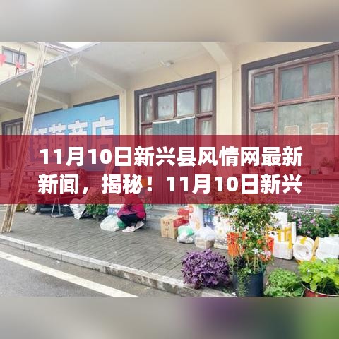 业绩展示 第131页