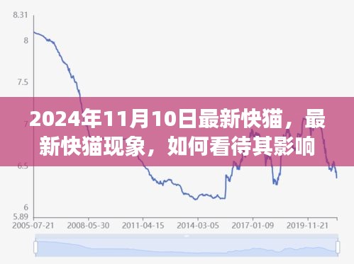 最新快猫现象，影响与未来发展观察（2024年观察点）