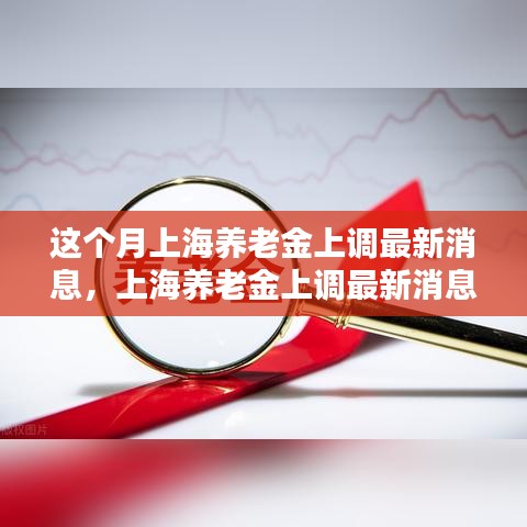 上海养老金上调最新消息详解，轻松了解与操作指南