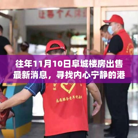 阜城楼房最新出售消息，寻找心灵宁静的自然探索之旅