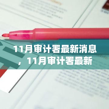 11月审计署最新消息深度解析与观点阐述