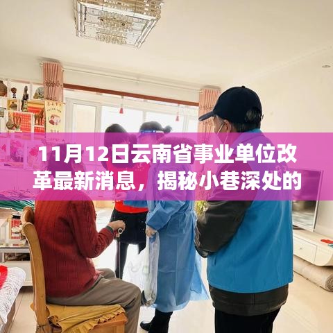 云南省事业单位改革最新消息下的特色小店探秘之旅