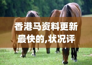 香港马资料更新最快的,状况评估解析_挑战版MFP626.18