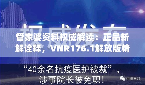 管家婆资料权威解读：正品新解诠释，VNR176.1解放版精要汇总