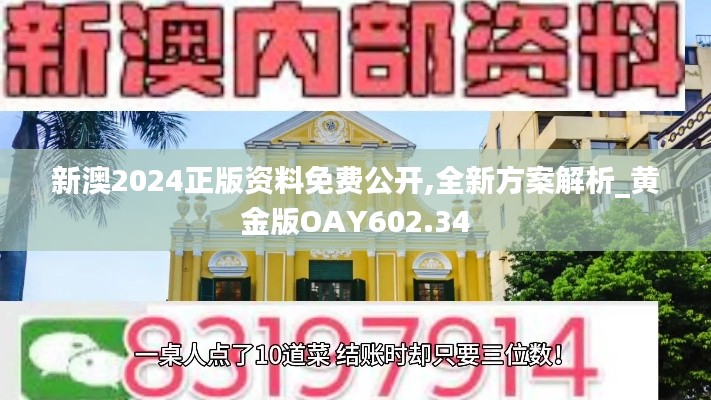 新澳2024正版资料免费公开,全新方案解析_黄金版OAY602.34