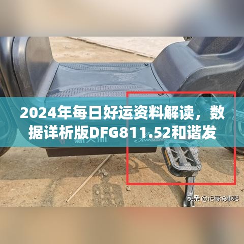 2024年每日好运资料解读，数据详析版DFG811.52和谐发布