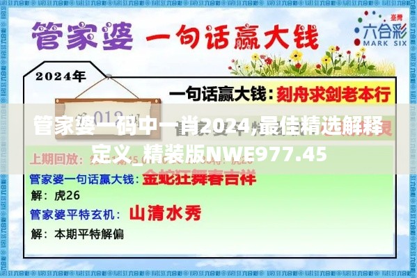 管家婆一码中一肖2024,最佳精选解释定义_精装版NWE977.45