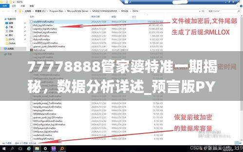 77778888管家婆特准一期揭秘，数据分析详述_预言版PYO812.16