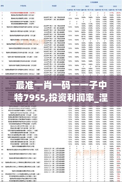 最准一肖一码一一子中特7955,投资利润率_涅槃境XRO458.84