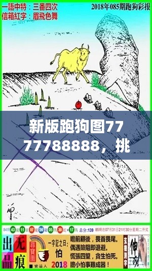 走马观花 第26页