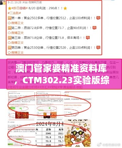 澳门管家婆精准资料库，CTM302.23实验版综合策略解读