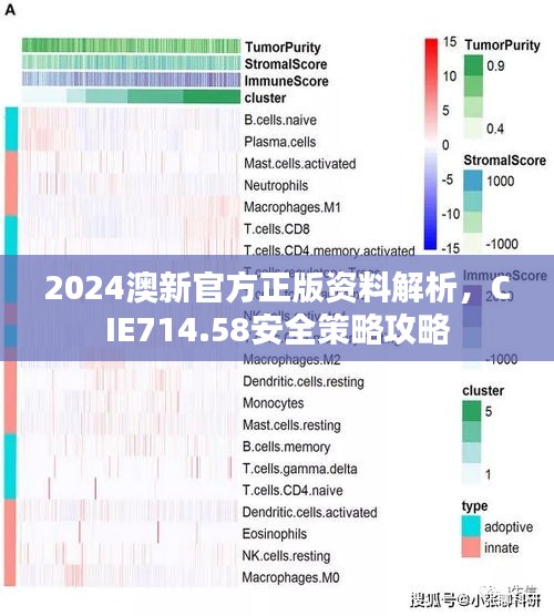 2024澳新官方正版资料解析，CIE714.58安全策略攻略