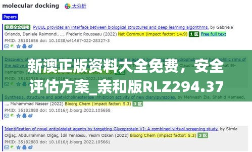 新澳正版资料大全免费，安全评估方案_亲和版RLZ294.37