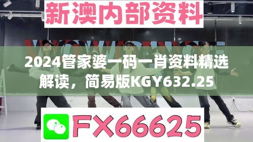 2024管家婆一码一肖资料精选解读，简易版KGY632.25