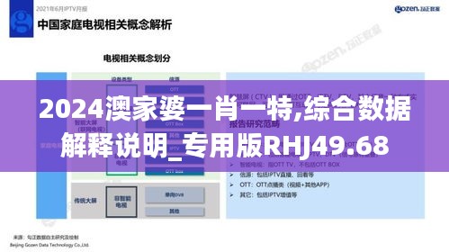 2024澳家婆一肖一特,综合数据解释说明_专用版RHJ49.68