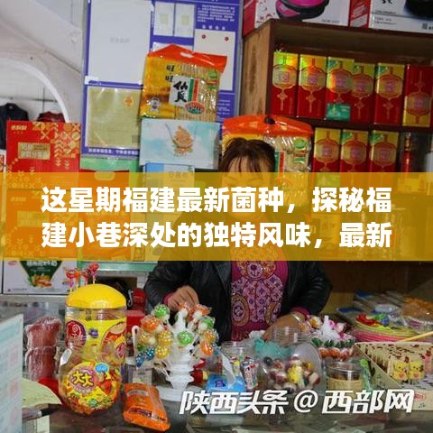 福建小巷深处的独特风味，最新菌种小店之旅探秘记