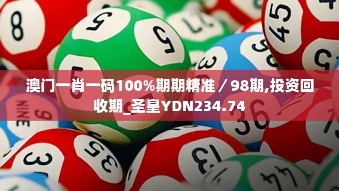 澳门一肖一码100%期期精准／98期,投资回收期_圣皇YDN234.74