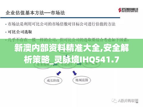 新澳内部资料精准大全,安全解析策略_灵脉境IHQ541.7