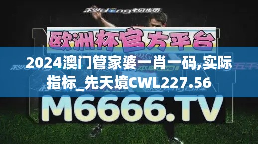 2024澳门管家婆一肖一码,实际指标_先天境CWL227.56