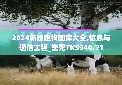 2024新版跑狗图库大全,信息与通信工程_生死TKS940.71