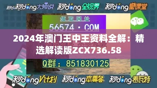 2024年澳门王中王资料全解：精选解读版ZCX736.58