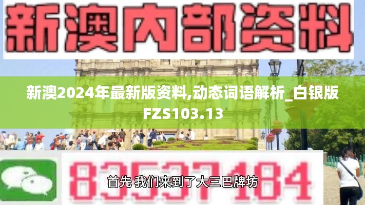 新澳2024年最新版资料,动态词语解析_白银版FZS103.13