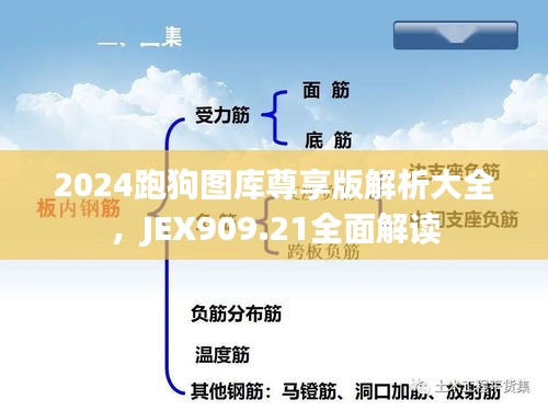 2024跑狗图库尊享版解析大全，JEX909.21全面解读