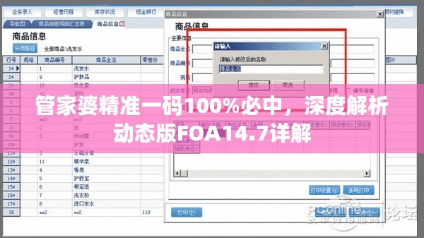 管家婆精准一码100%必中，深度解析动态版FOA14.7详解