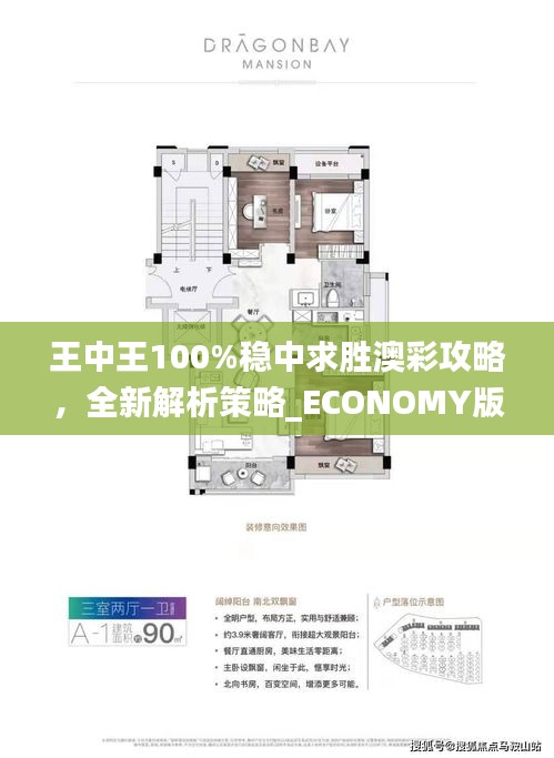 王中王100%稳中求胜澳彩攻略，全新解析策略_ECONOMY版ANL510.67