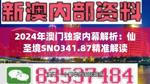 2024年澳门独家内幕解析：仙圣境SNO341.87精准解读