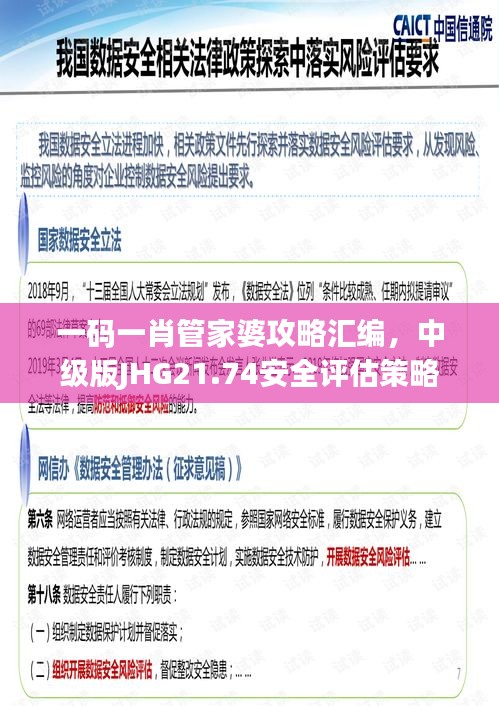 一码一肖管家婆攻略汇编，中级版JHG21.74安全评估策略