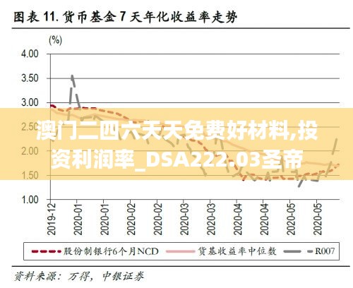 澳门二四六天天免费好材料,投资利润率_DSA222.03圣帝