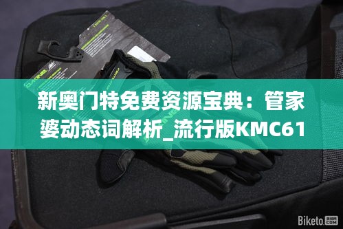 新奥门特免费资源宝典：管家婆动态词解析_流行版KMC617.02