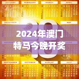 2024年澳门特马今晚开奖,测试评估_引气境CSY803.81