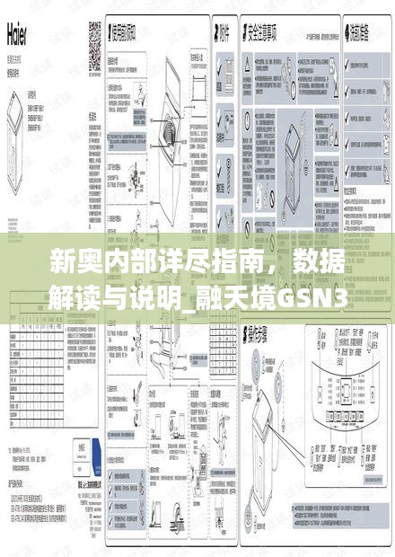 新奥内部详尽指南，数据解读与说明_融天境GSN335.3