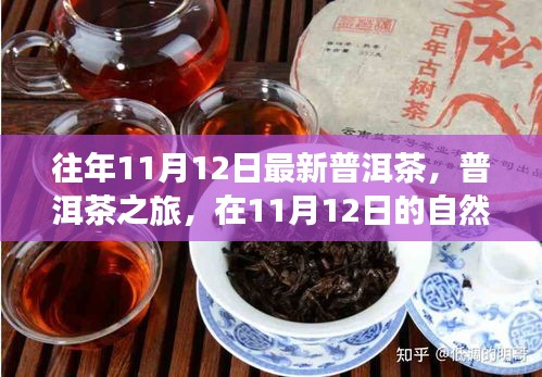 普洱茶之旅，在11月12日的自然怀抱中品味静心之茶，探寻最新普洱茶的魅力