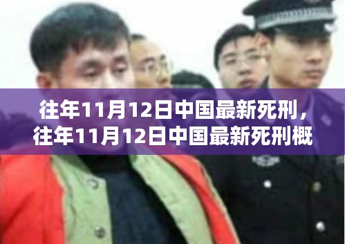 往年11月12日中国最新死刑执行概况，法律公正与社会反响分析