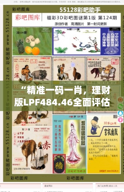 “精准一码一肖，理财版LPF484.46全面评估”