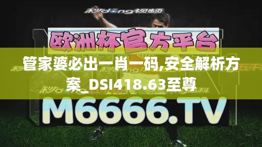 管家婆必出一肖一码,安全解析方案_DSI418.63至尊