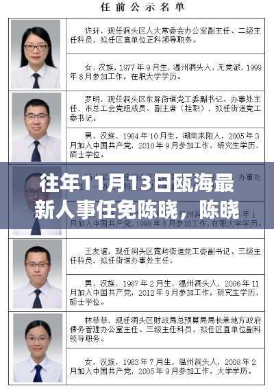 瓯海人事任免新动态，陈晓的任命与小巷深处的独特小店探秘之旅