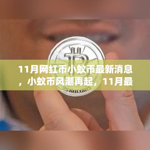 11月小蚁币风潮再燃，最新动态与深度解读