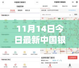 揭秘，中国银行最新外汇牌价动态及影响力解析（11月14日更新）