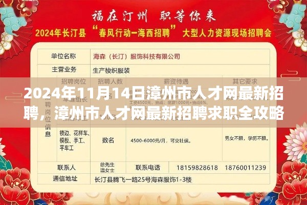 漳州市人才网最新招聘求职攻略，成功应聘心仪职位全解析（2024年11月）