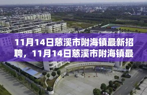 11月14日慈溪市附海镇最新招聘动态及职业机会解析