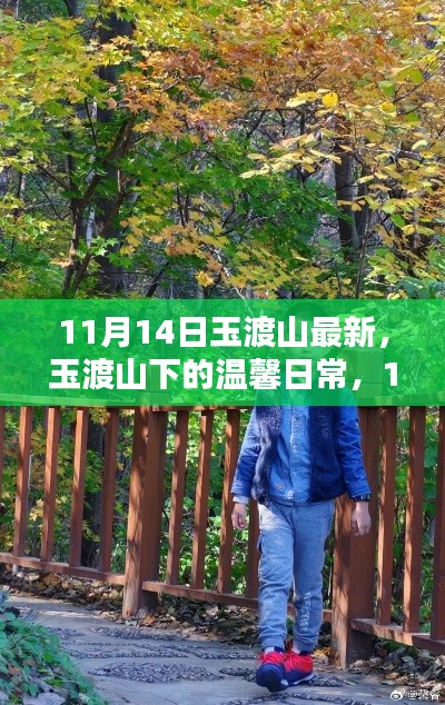 玉渡山下的温馨日常，11月14日的欢乐时光记录