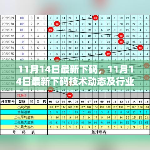 11月14日最新下码技术动态及行业应用分析，犯罪行为的探讨