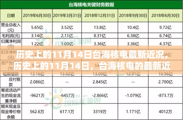 历史上的11月14日，台海核电的最新近况及其影响分析概览